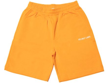 Helmut Lang Core Shorts Online now