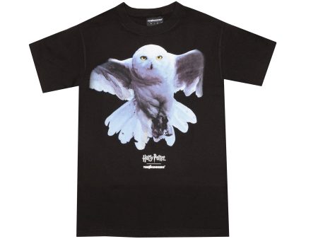 The Hundreds x Harry Potter Hedwig Tee in Black Sale