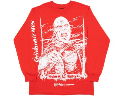 The Hundreds x Harry Potter Voldemort L S Tee in Red on Sale