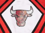 Mitchell & Ness NBA 75th Anniversary Bulls Swingman Shorts For Discount