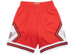 Mitchell & Ness NBA 75th Anniversary Bulls Swingman Shorts For Discount