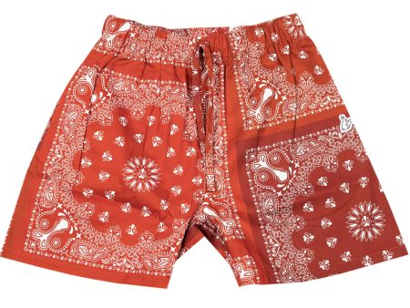 Fucking Rabbits Paisley Shorts in Red Supply