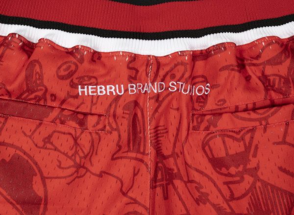 Mitchell & Ness x Hebru Brantley NBA Bulls Shorts For Sale