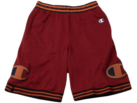 Champion Rec Mesh Shorts on Sale